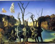 萨尔瓦多 达利 : 天鹅映象